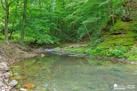 Log Style Cabin on Sugar Creek at Shady. - image 16