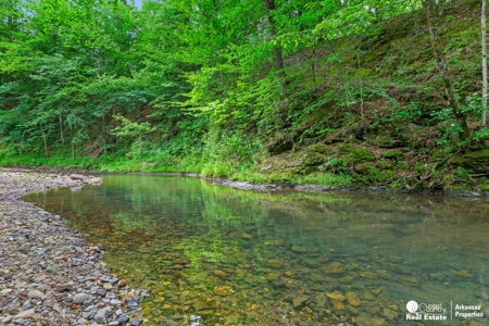 Log Style Cabin on Sugar Creek at Shady. - image 15