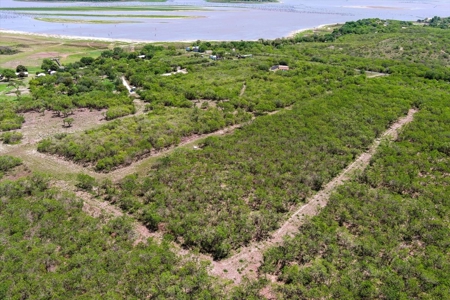 10.01 Ac of Unrestricted Land Near Lake Corpus Christi- More AC Available - image 13