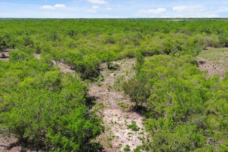 10.01 Ac of Unrestricted Land Near Lake Corpus Christi- More AC Available - image 9