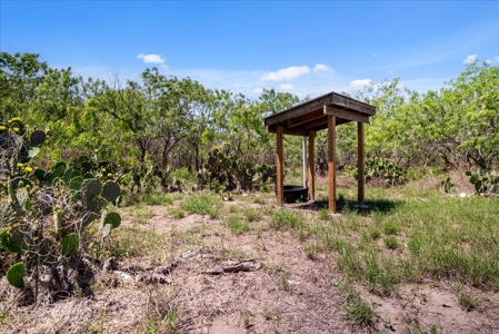 10.01 Ac of Unrestricted Land Near Lake Corpus Christi- More AC Available - image 6