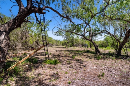 10.01 Ac of Unrestricted Land Near Lake Corpus Christi- More AC Available - image 4