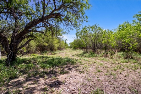 10.01 Ac of Unrestricted Land Near Lake Corpus Christi- More AC Available - image 7