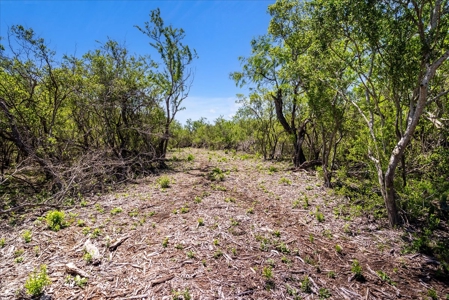 10.01 Ac of Unrestricted Land Near Lake Corpus Christi- More AC Available - image 5