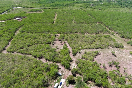 10.01 Ac of Unrestricted Land Near Lake Corpus Christi- More AC Available - image 11