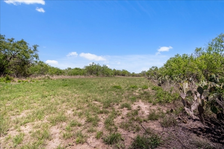 10.01 Ac of Unrestricted Land Near Lake Corpus Christi- More AC Available - image 8