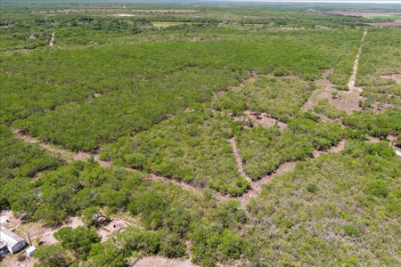 10.01 Ac of Unrestricted Land Near Lake Corpus Christi- More AC Available - image 16