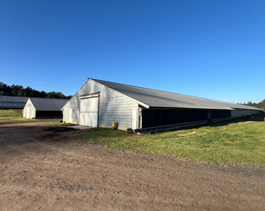 Louisiana Poultry 8 House Broiler Farm with High Income - image 25
