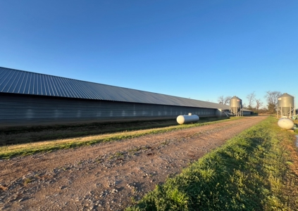 Louisiana Poultry 8 House Broiler Farm with High Income - image 2