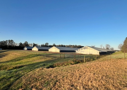 Louisiana Poultry 8 House Broiler Farm with High Income - image 11