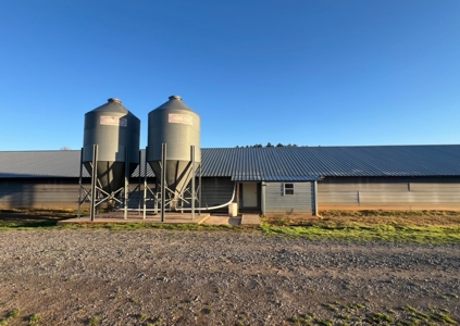 Louisiana Poultry 8 House Broiler Farm with High Income - image 18