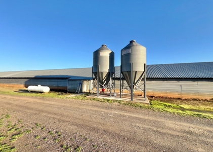 Louisiana Poultry 8 House Broiler Farm with High Income - image 7