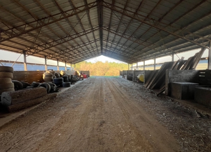 Louisiana Poultry 8 House Broiler Farm with High Income - image 42