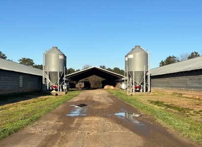 Louisiana Poultry 8 House Broiler Farm with High Income - image 13