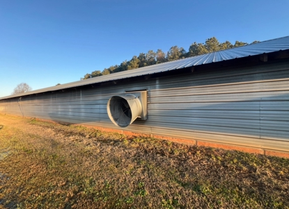Louisiana Poultry 8 House Broiler Farm with High Income - image 9