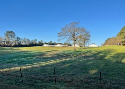 Louisiana Poultry 8 House Broiler Farm with High Income - image 40
