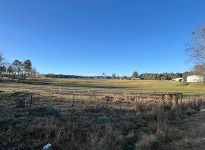 Louisiana Poultry 8 House Broiler Farm with High Income - image 41