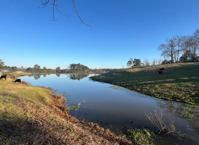 Louisiana Poultry 8 House Broiler Farm with High Income - image 35