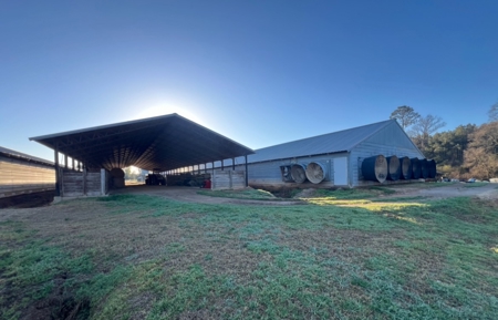 Louisiana Poultry 8 House Broiler Farm with High Income - image 17