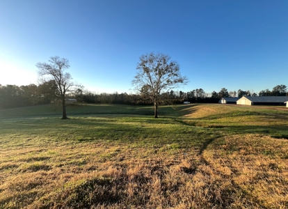 Louisiana Poultry 8 House Broiler Farm with High Income - image 15