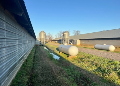 Louisiana Poultry 8 House Broiler Farm with High Income - image 14