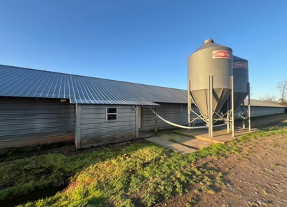 Louisiana Poultry 8 House Broiler Farm with High Income - image 10