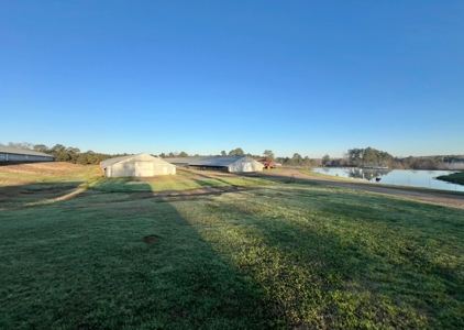Louisiana Poultry 8 House Broiler Farm with High Income - image 21