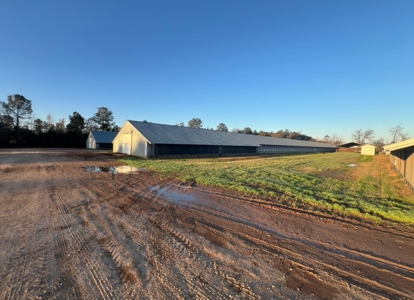 Louisiana Poultry 8 House Broiler Farm with High Income - image 8