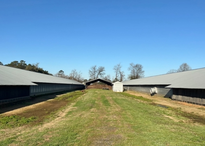 Louisiana Poultry 8 House Broiler Farm with High Income - image 12