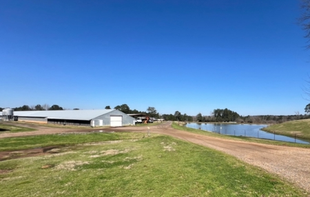 Louisiana Poultry 8 House Broiler Farm with High Income - image 37