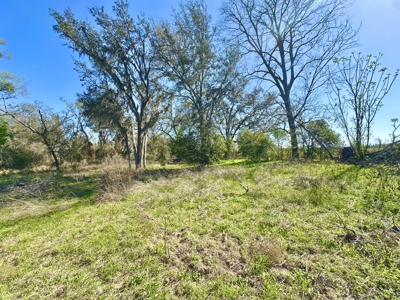 Land For Sale In Lafayette County Florida! - image 4