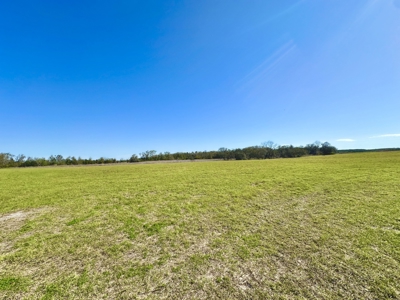 Land For Sale In Lafayette County Florida! - image 1