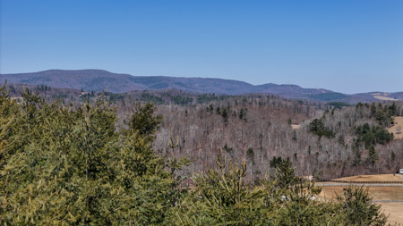 Charming Cape Cod Home on 69.01± Acres For Sale in Floyd County, Virginia - image 6