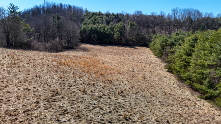 Charming Cape Cod Home on 69.01± Acres For Sale in Floyd County, Virginia - image 49