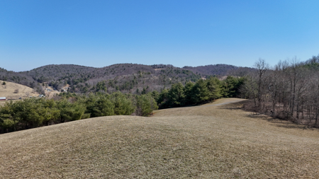 Charming Cape Cod Home on 69.01± Acres For Sale in Floyd County, Virginia - image 48