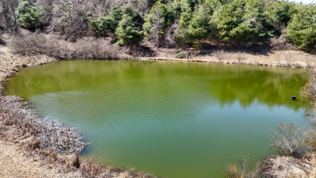 Charming Cape Cod Home on 69.01± Acres For Sale in Floyd County, Virginia - image 46