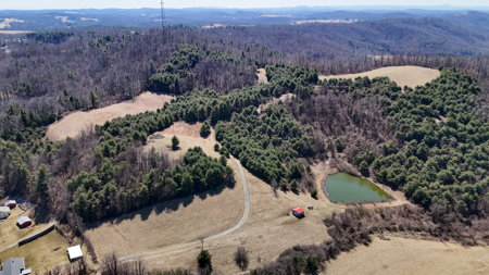 Charming Cape Cod Home on 69.01± Acres For Sale in Floyd County, Virginia - image 44