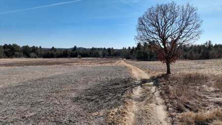 Premier Hunting and Recreational Property in Monroe County - image 31