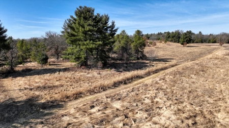 Premier Hunting and Recreational Property in Monroe County - image 38