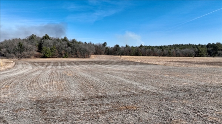 Premier Hunting and Recreational Property in Monroe County - image 32