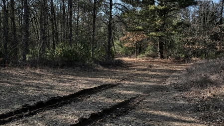 Premier Hunting and Recreational Property in Monroe County - image 18