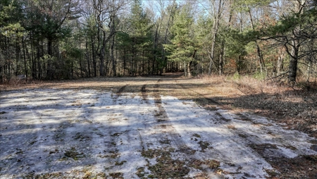 Premier Hunting and Recreational Property in Monroe County - image 3