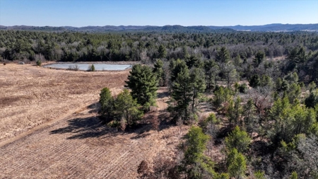 Premier Hunting and Recreational Property in Monroe County - image 30