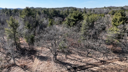Premier Hunting and Recreational Property in Monroe County - image 41