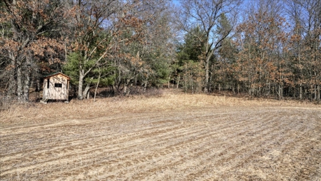 Premier Hunting and Recreational Property in Monroe County - image 7