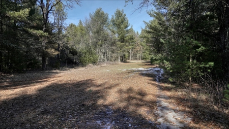 Premier Hunting and Recreational Property in Monroe County - image 23