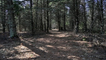 Premier Hunting and Recreational Property in Monroe County - image 2