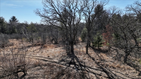 Premier Hunting and Recreational Property in Monroe County - image 39