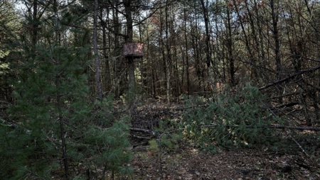Premier Hunting and Recreational Property in Monroe County - image 22