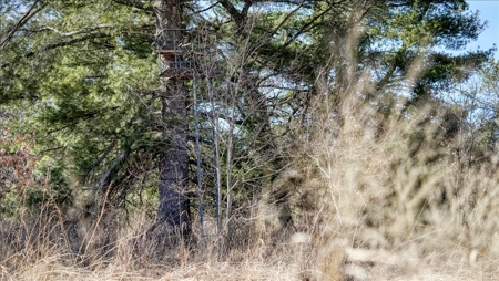 Premier Hunting and Recreational Property in Monroe County - image 13